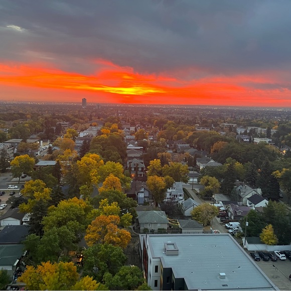 Meet your Posher, Sydney - Picture 1 of 1